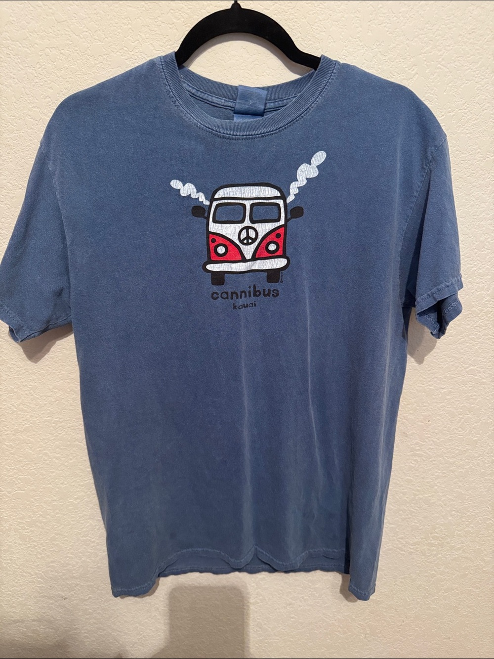 Cannibus Kids Blue Graphic Tee with Red Van Print 100% cotton size medium